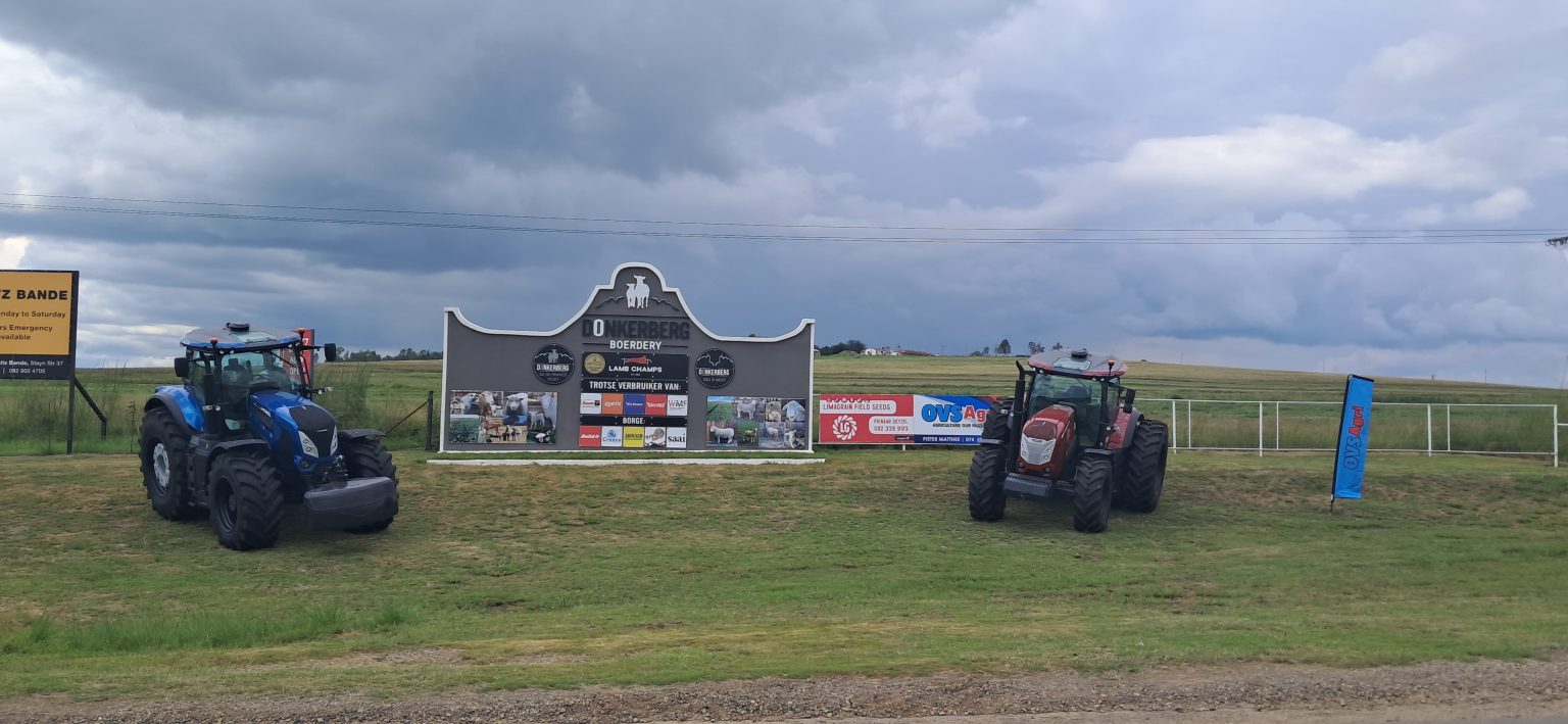Île de France sheep on Donkerberg farm